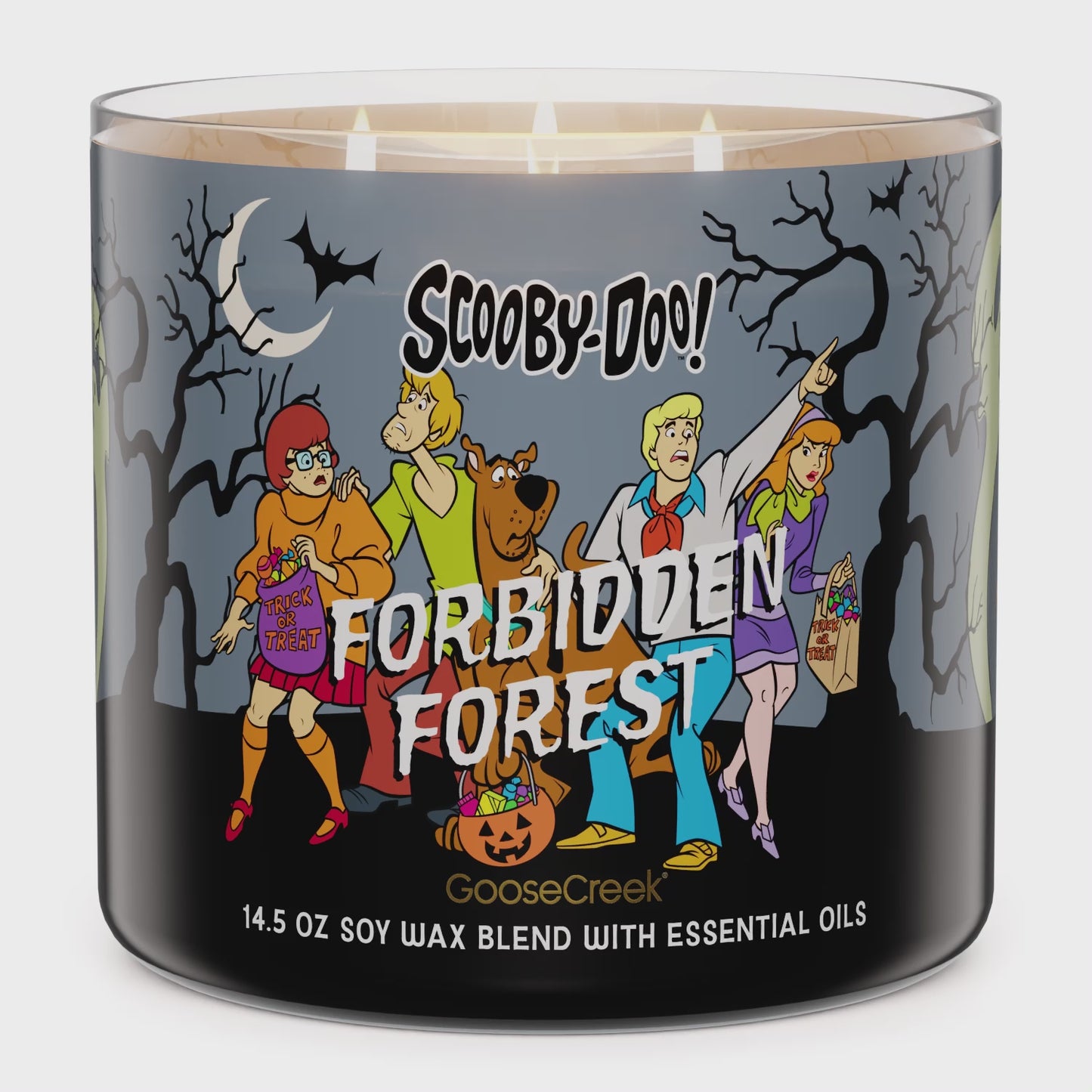 Load and play video in Gallery viewer, Forbidden Forest 3-Wick Scooby-Doo Candle
