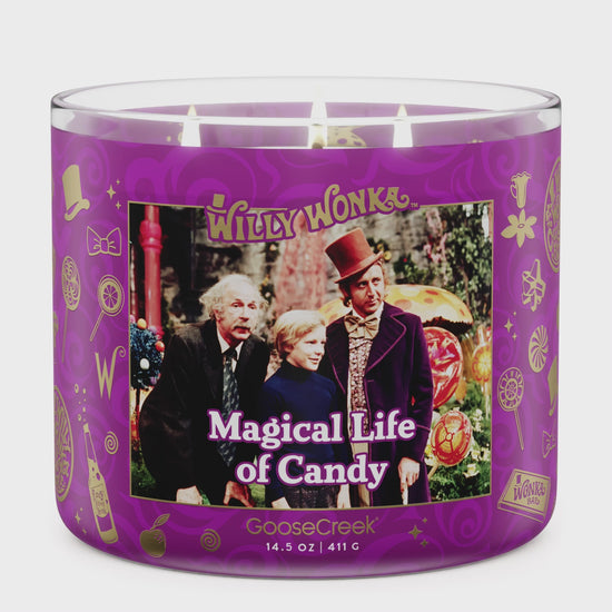 Load and play video in Gallery viewer, Magical Life of Candy 3-Wick Wonka Candle

