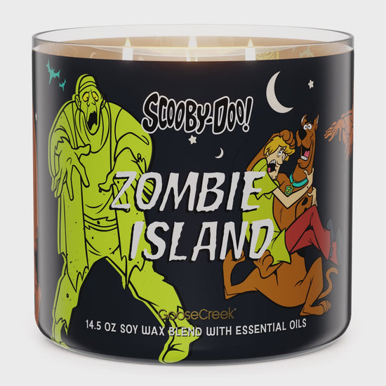 Load and play video in Gallery viewer, Zombie Island 3-Wick Scooby-Doo Candle
