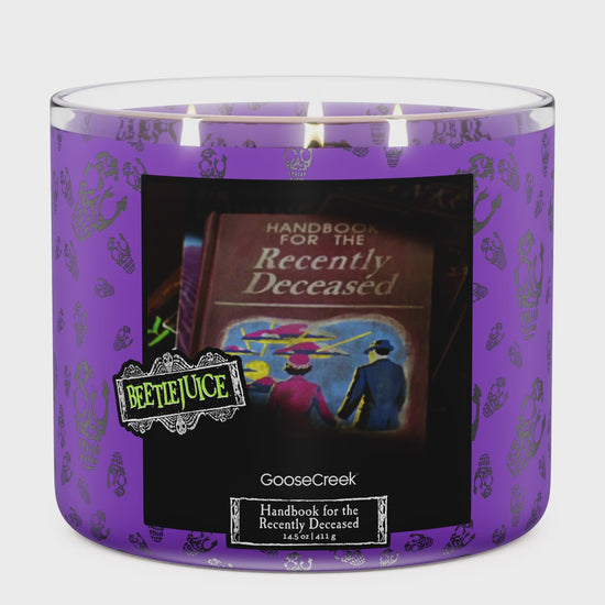 Load and play video in Gallery viewer, Beetlejuice- Handbook for the Recently Deceased 3-Wick Candle
