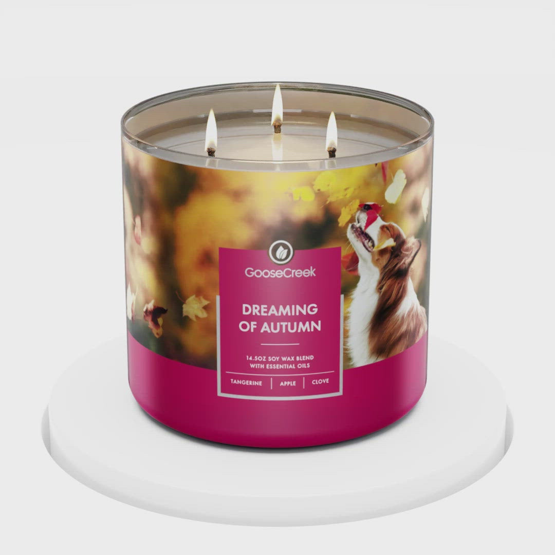 Load and play video in Gallery viewer, Dreaming of Autumn Large 3-Wick Candle
